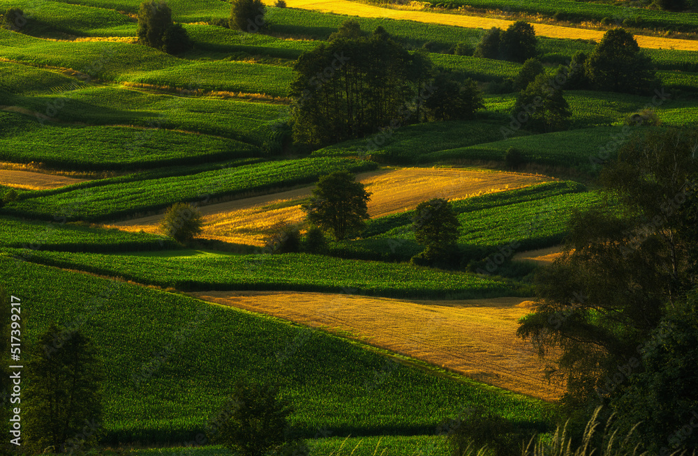 Undulating valley with arable land