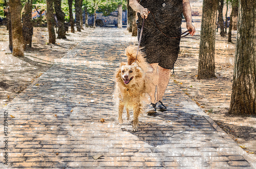 An adult woman walks with her mixed-breed dog through sunny city. Long-haired red dog of mixed breed looks at camera. Digital watercolor painting. Canvas texture