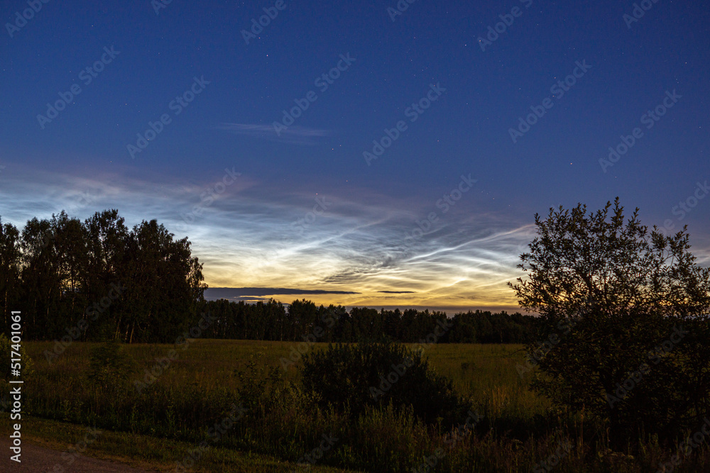 Obraz premium sunset in the field