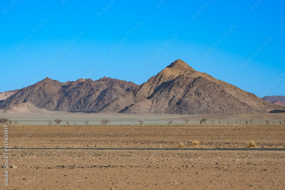 Namibia, view of the Namib desert, wild landscape, panorama in rain season
Namibia, view of the Namib desert, wild landscape, panorama in rain season