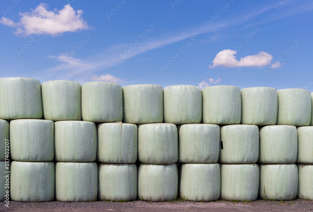 Wrapped hay bales stacked under a blue sky Wrapped hay bales stacked under a blue sky