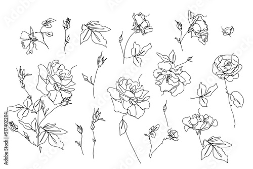 Set of one single line rose flower drawings. Black ink line floral clip art