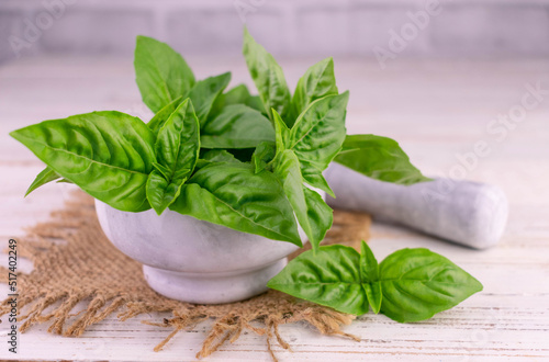 Fresh basil on a white wooden background.Close-up.
