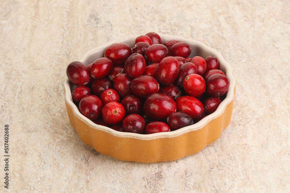 Ripe sweet tasty cranberry in the bowl