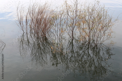 Lake Kinneret is a freshwater lake in northeastern Israel.