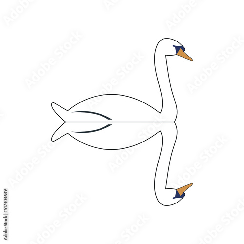 swan on white background