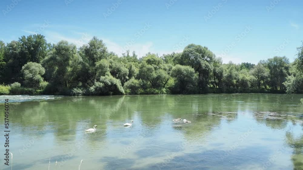 Südbadischen Altrhein entlang der Petite Camargue Alsacienne. Schöne Wildnislandschaft, Flora und Aquafauna in den Auenwäldern des Rheins zwischen Großer Elsässischer Kanal und Kleinrhein Südbadischen Altrhein entlang der Petite Camargue Alsacienne. Schöne Wildnislandschaft, Flora und Aquafauna in den Auenwäldern des Rheins zwischen Großer Elsässischer Kanal und Kleinrhein