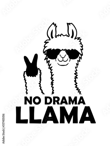 Cool No Drama Llama  photo