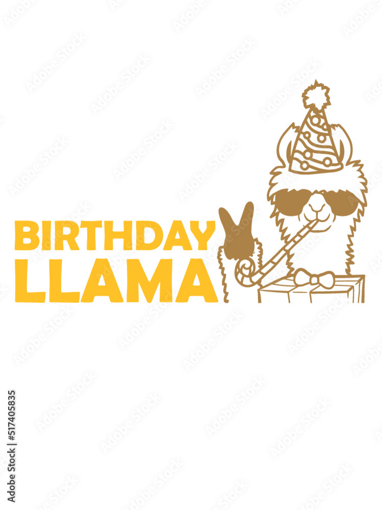 Cool Birthday Llama Sonnenbrille 