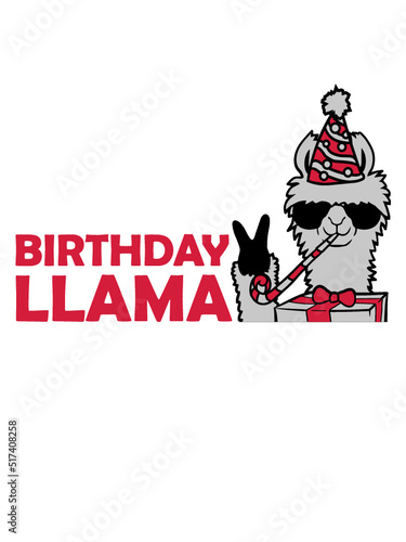 Birthday Llama No Drama 