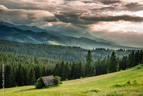 Fototapeta Naklejka Na Ścianę i Meble -  Cottage on green valley at sunset, Tatra mountains