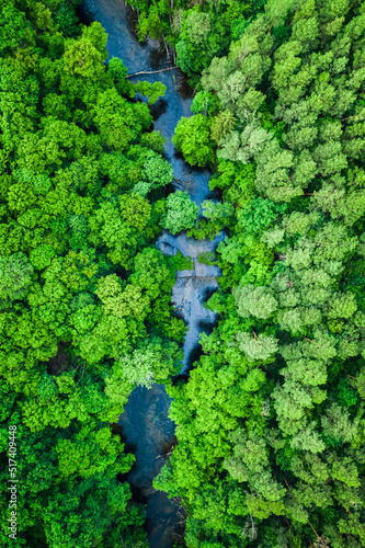 Aerial view of forest and river. Nature in Poland