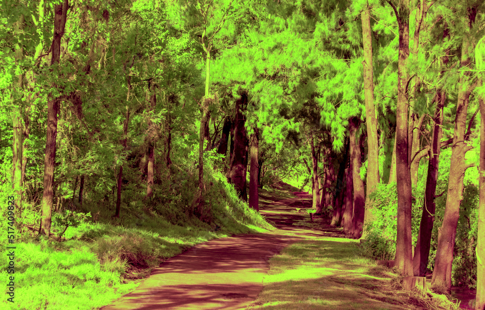 Infrared photograph of the Great River Walk along the Nepean River in Penrith in Australia Infrared photograph of the Great River Walk along the Nepean River in Penrith in Australia