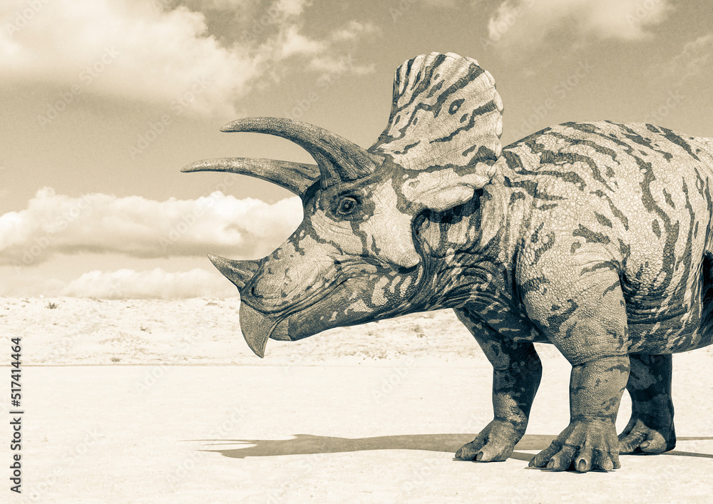 Fototapeta premium triceratops side close up view