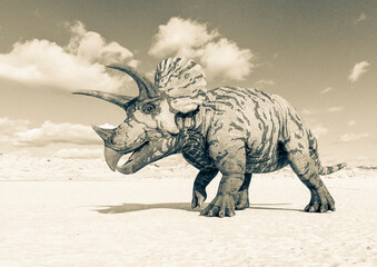 Poster Dinosaurus Wandelende triceratops in prehistorisch landschap  © DM7