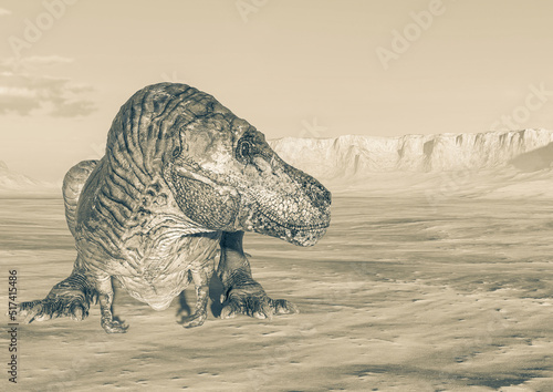 tyrannosaurus is lying down and resting on sunset desert with copy space © DM7