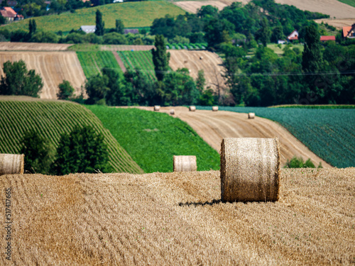 Wallpaper Mural Cylinder-shaped hay bales in the fields of Alsace.