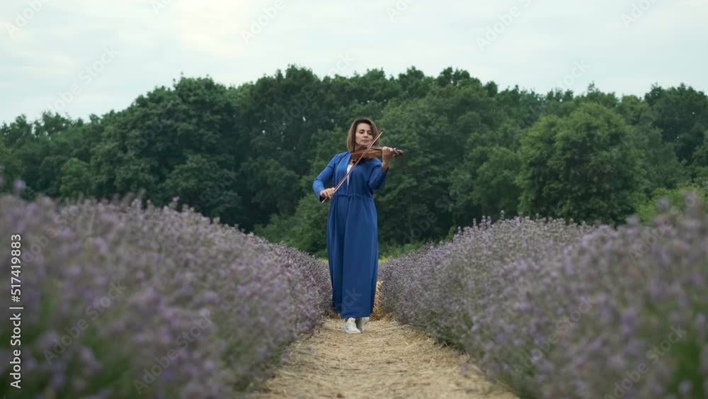 Adult woman violinist playing violin and goes to the camera on summer lavender field, romantic musician in blue dress enjoying walking on nature Adult woman violinist playing violin and goes to the camera on summer lavender field, romantic musician in blue dress enjoying walking on nature