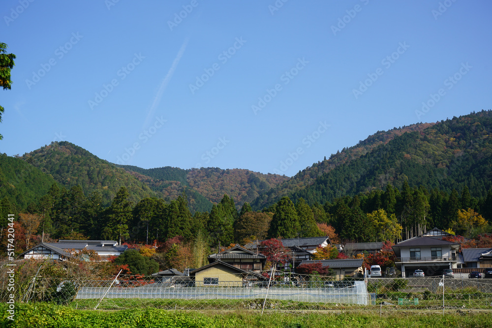 京都大原の田園風景