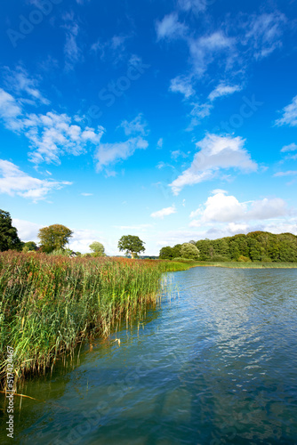 Copyspace and landscape of a calm and quiet lake with reeds  trees and a cloudy blue sky above. A forest with a river and lush green plants in a remote location in nature. Fishing spot for tourist