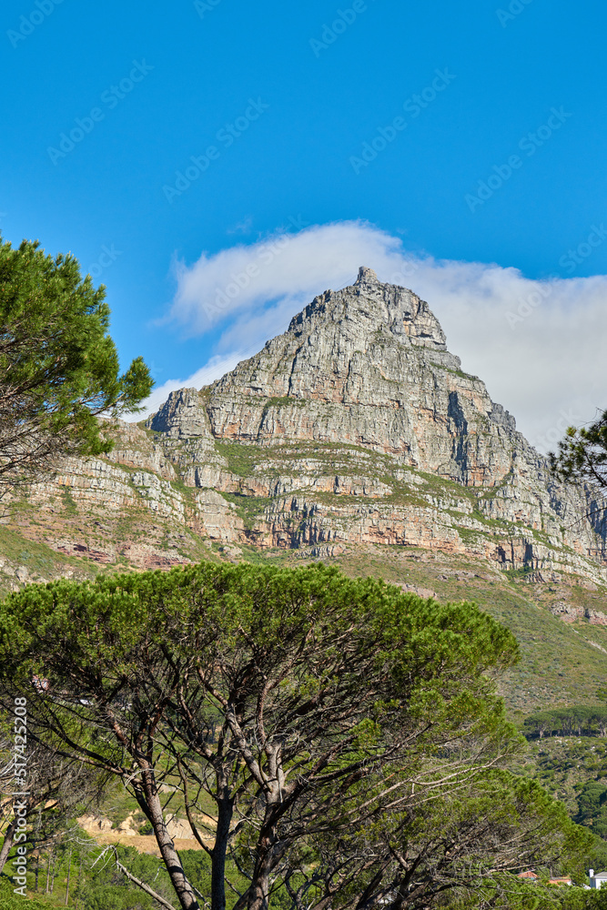 A landscape of a mountain with a cloudy blue sky background and copy space. Peaceful and scenic view of a summit near lush green plants and trees outdoors in nature on a summer day