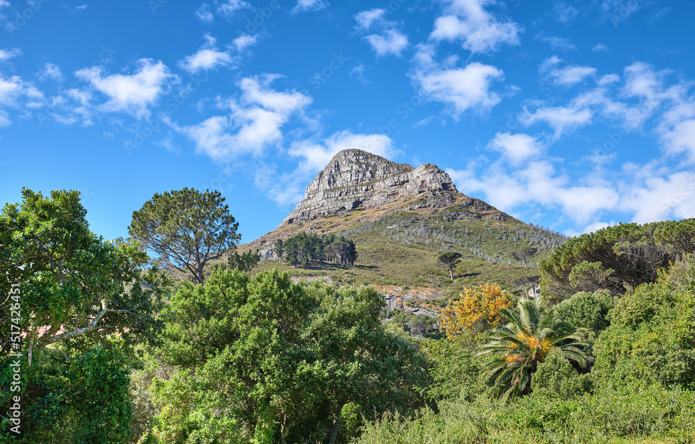 Scenic landscape of blue sky over the peak of Lions Head Mountain in Cape Town from below with copy space. Beautiful views of plants and trees around a popular tourist attraction and natural landmark