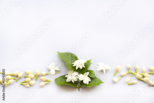 white flowers jasmine local flora of asia arrangement flat lay postcard style on background white 