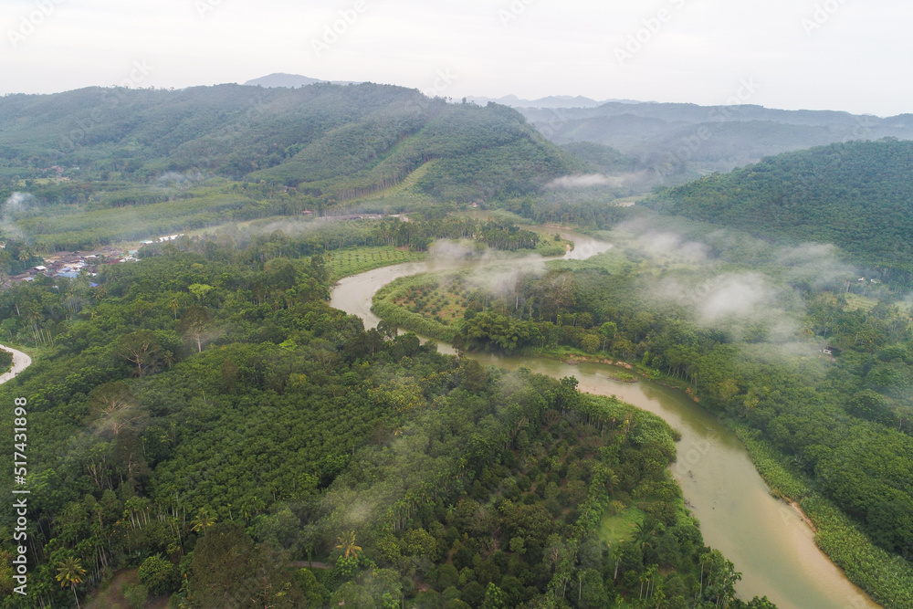 Fototapeta premium Aerial view canal river in tropical rainforest with morning fog