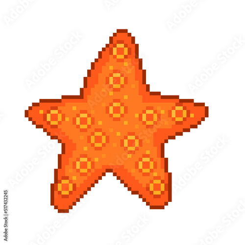 An 8-bit pixel-art retro-styled cartoon illustration of an orange and brown starfish.
