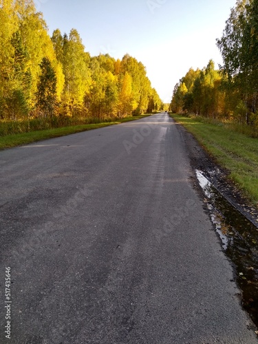 an asphalt road in an autumn forest with a blue sky