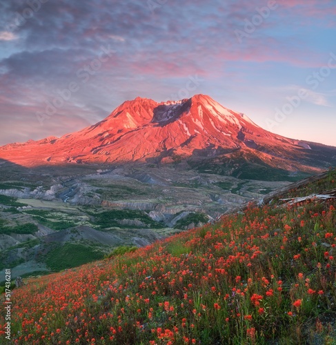 The breathtaking views of the volcano and amazing valley of flowers. Harry's Ridge Trail. Mount St Helens National Park, South Cascades in Washington State, USA
A mountain slope is filled wildflowers. photo