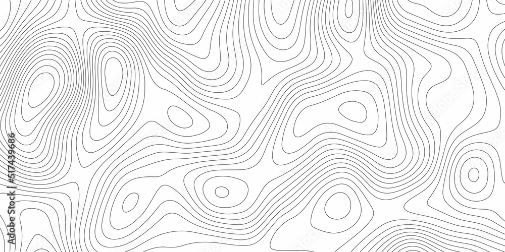 Abstract design with black and white abstract background . Topography map concept. 3d rendering . Creative and similar design with white and black tone paper cut wave curve with blank space design 