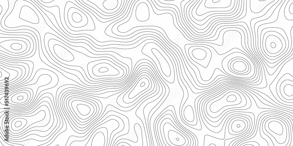 Abstract design with black and white abstract background . Topography map concept. 3d rendering . Creative and similar design with white and black tone paper cut wave curve with blank space design 