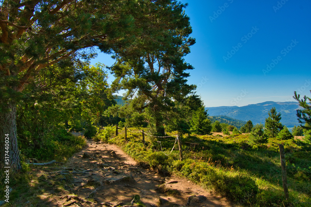 Vogesenlandschaft nahe des Col du Wettstein Vogesenlandschaft nahe des Col du Wettstein