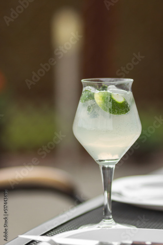 Fresh Mojito cocktail in elegant tall glass with green mint leaves, lime slices, white rum and soda water.