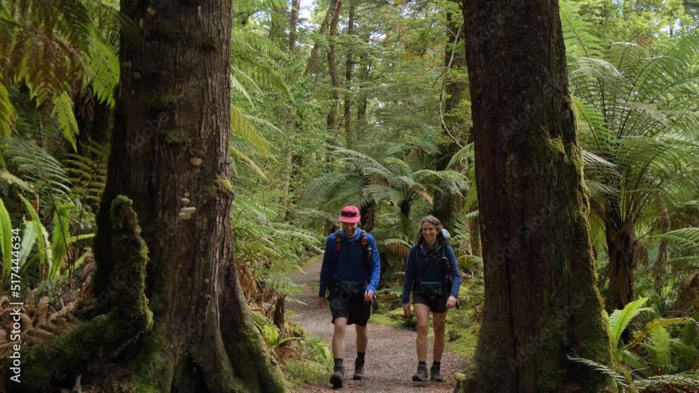 Static, hikers walk towards camera between two large trees, Fiordland New Zealand Static, hikers walk towards camera between two large trees, Fiordland New Zealand