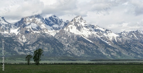 Teton Mountains Landscape