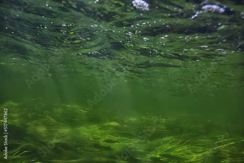 sun rays under water landscape  seascape fresh water river diving