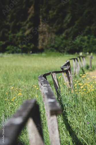 Old Fence