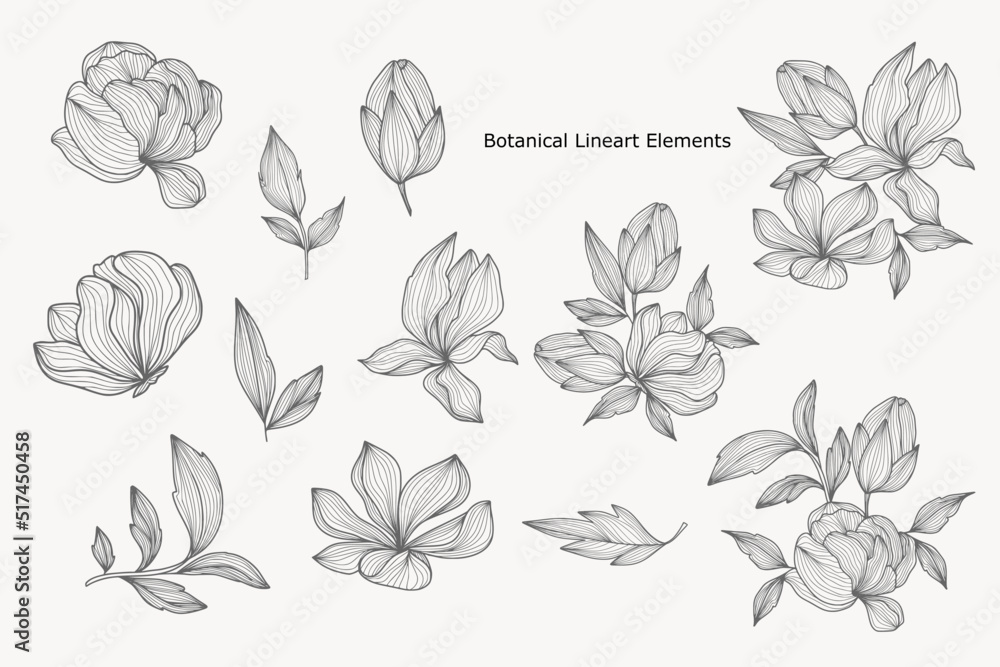 Minimal Handrawn Floral and Botanical Lineart Logo elements 