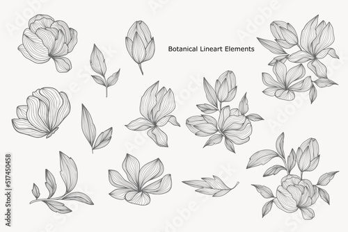 Minimal Handrawn Floral and Botanical Lineart Logo elements  photo