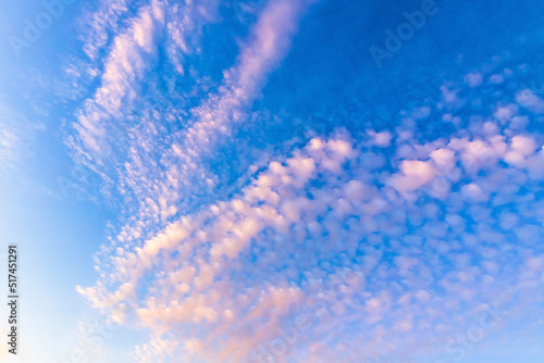 Pink cirrocumulus clouds are in blue sky in the evening photo