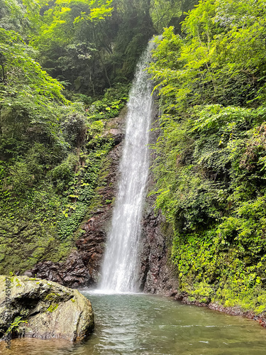Yoro Falls in Yoro, Gifu, Japan