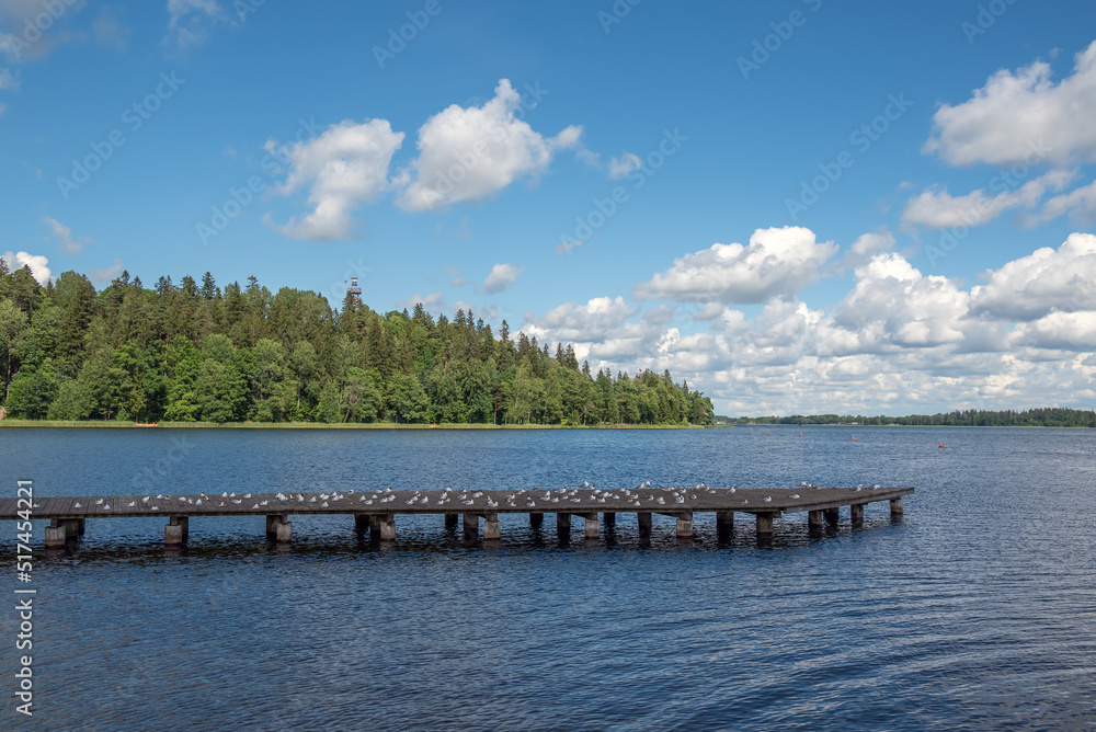 Sea gulls on footbridge in lake.