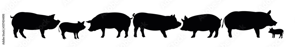 Set of Pigs graze in pasture. Picture silhouette. Farm pets. Animals for meat and fat. Isolated on white background. Vector Set of Pigs graze in pasture. Picture silhouette. Farm pets. Animals for meat and fat. Isolated on white background. Vector