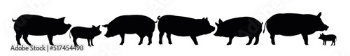 Set of Pigs graze in pasture. Picture silhouette. Farm pets. Animals for meat and fat. Isolated on white background. Vector