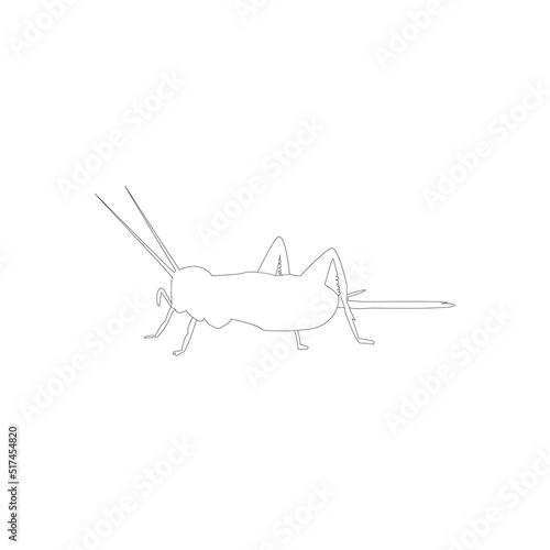 cricket insect logo vector template