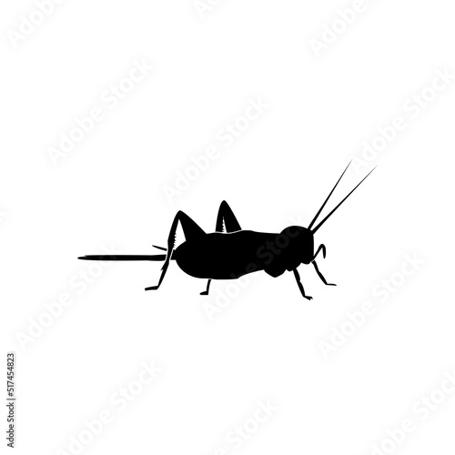 cricket insect logo vector template