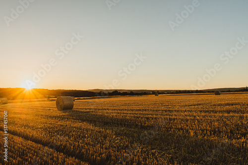 Fototapet field of wheat in autumn with sunset lighting in the golden hour near Frankfurt, Germany, Europe