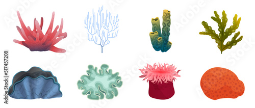 Underwater exotic plants and marine animals set from deep sea bottom or aquarium vector illustration. Cartoon seaweed and coral reef collection isolated white. Undersea life, tropical nature concept